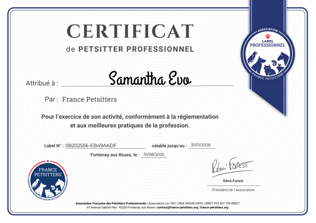 CERTIFICAT Professionnel Certification
