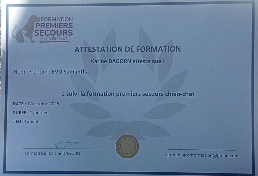 Formation premiers secours chien chat Diplôme